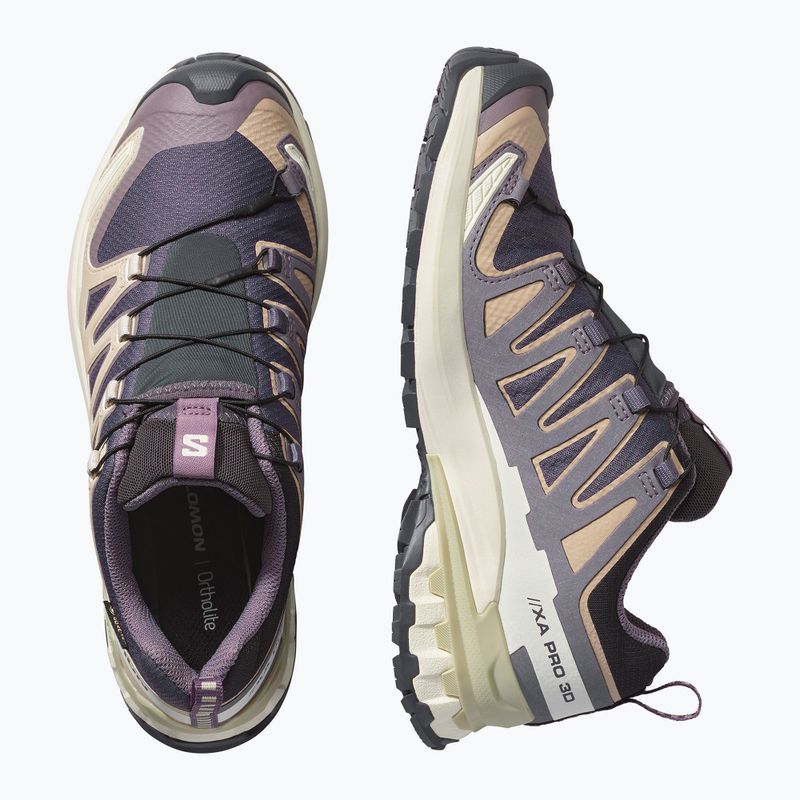 Încălțăminte de alergare pentru femei Salomon XA Pro 3D V9 GTX nine iron/oxford tan 3