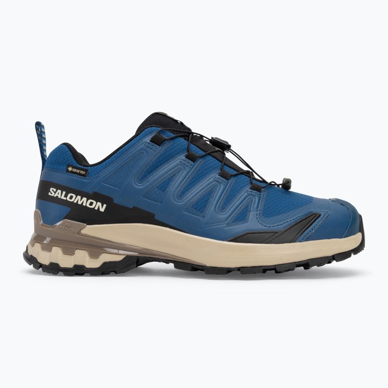 Încălțăminte de alergare pentru bărbați Salomon XA PRO 3D V9 GTX poseidon/white pepper/falcon 2