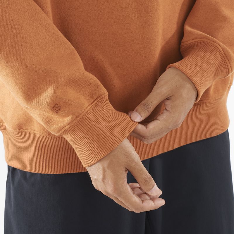 Bluză pentru bărbați Salomon Logo Crewneck sierra 4