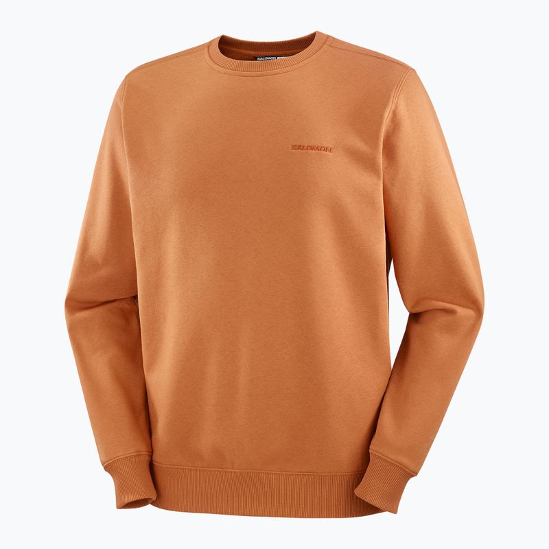 Bluză pentru bărbați Salomon Logo Crewneck sierra 5