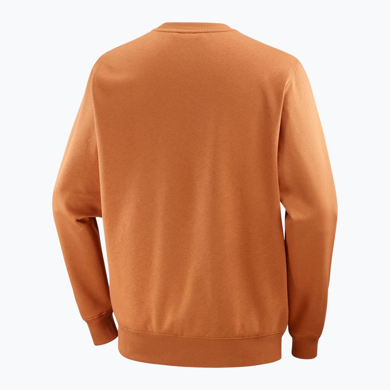 Bluză pentru bărbați Salomon Logo Crewneck sierra 6