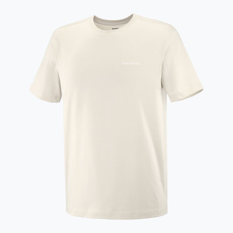 Tricou pentru bărbați  Salomon Logo Tee rainy day 4