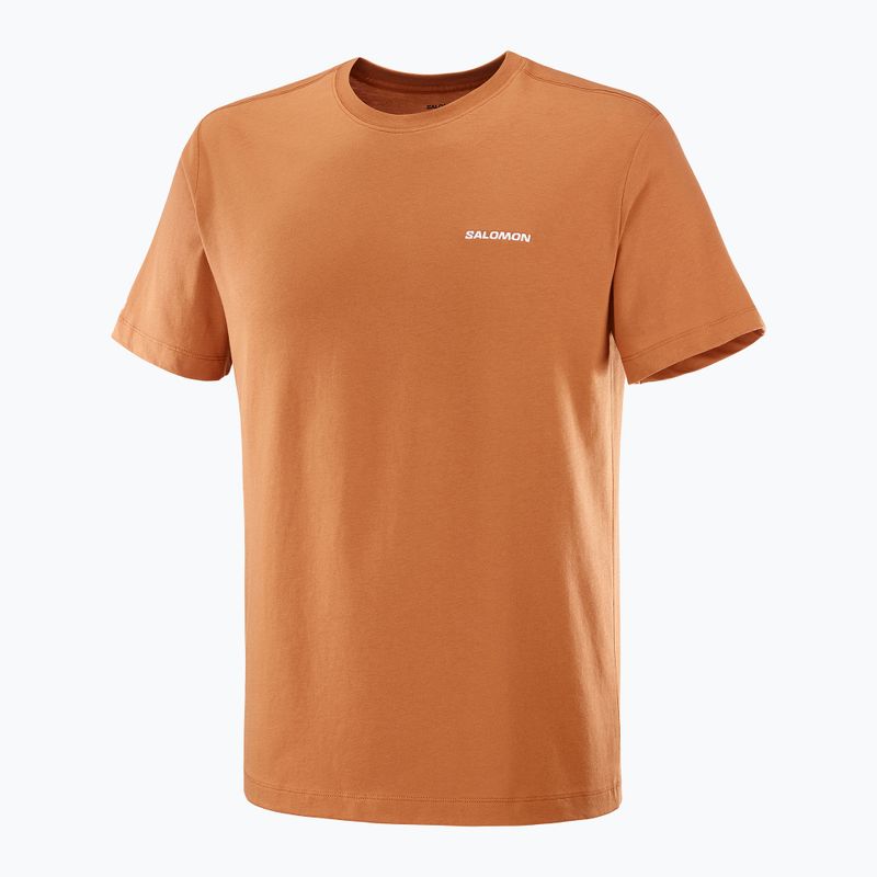 Tricou pentru bărbați  Salomon Logo Tee sierra 4