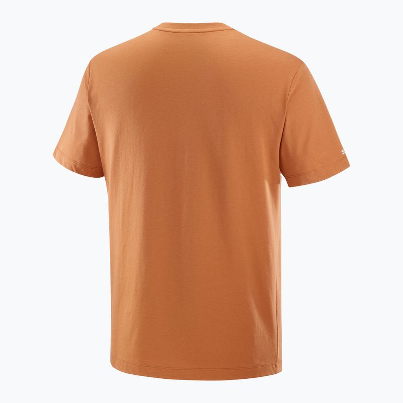 Tricou pentru bărbați  Salomon Logo Tee sierra 5