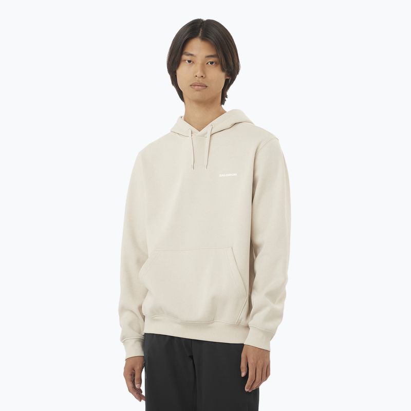 Hanorac pentru bărbați Salomon Logo Hoodie rainy day