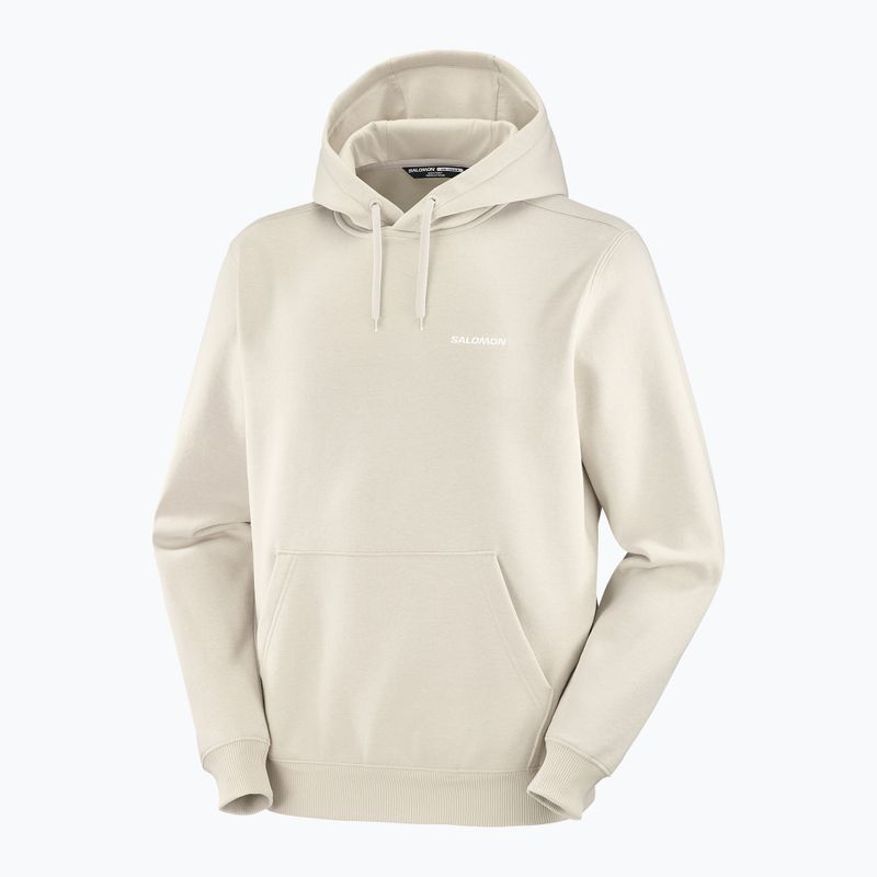 Hanorac pentru bărbați Salomon Logo Hoodie rainy day 3
