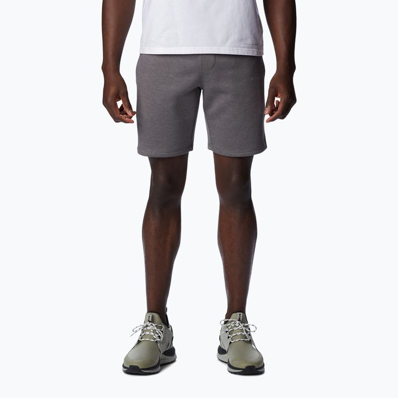 Pantaloni scurți de trekking pentru bărbați Columbia Logo Fleece gri 1884601023