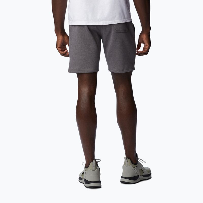 Pantaloni scurți de trekking pentru bărbați Columbia Logo Fleece gri 1884601023 2