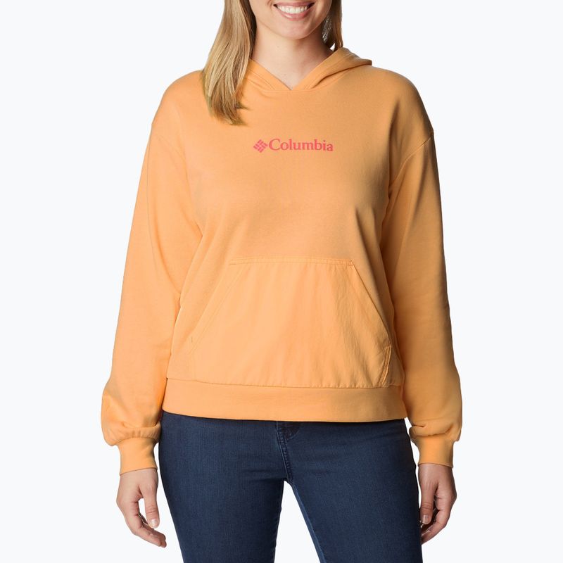 Bluză de antrenament pentru femei Columbia Logo III French Terry portocalie 2032871812