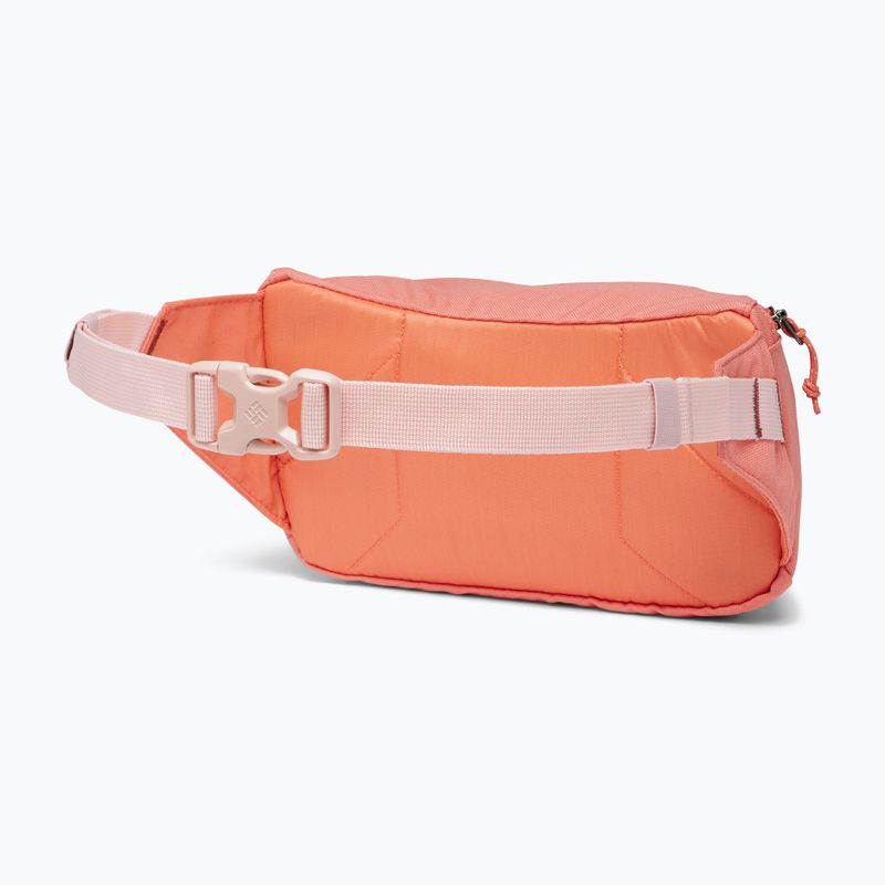 Columbia Zigzag Hip Pack pentru rinichi pungă de rinichi Zigzag Hip Pack piersică decolorată/ sfeclă roșie 2