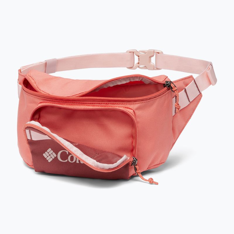 Columbia Zigzag Hip Pack pentru rinichi pungă de rinichi Zigzag Hip Pack piersică decolorată/ sfeclă roșie 3