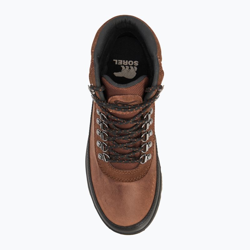 Încălțăminte pentru bărbați Sorel Ankeny II Hiker Plus WP tobacco/black 5