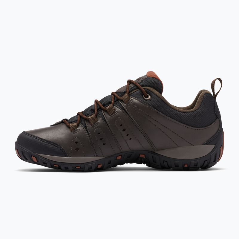 Columbia Woodburn II Waterproof cizme de trekking pentru bărbați cordovan/ scorțișoară 10