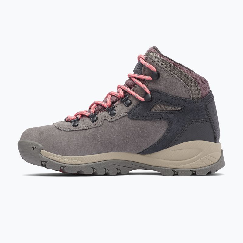 Încălțăminte de trekking pentru femei Columbia Newton Ridge Plus Wp Amped stratus/canyon rose 11