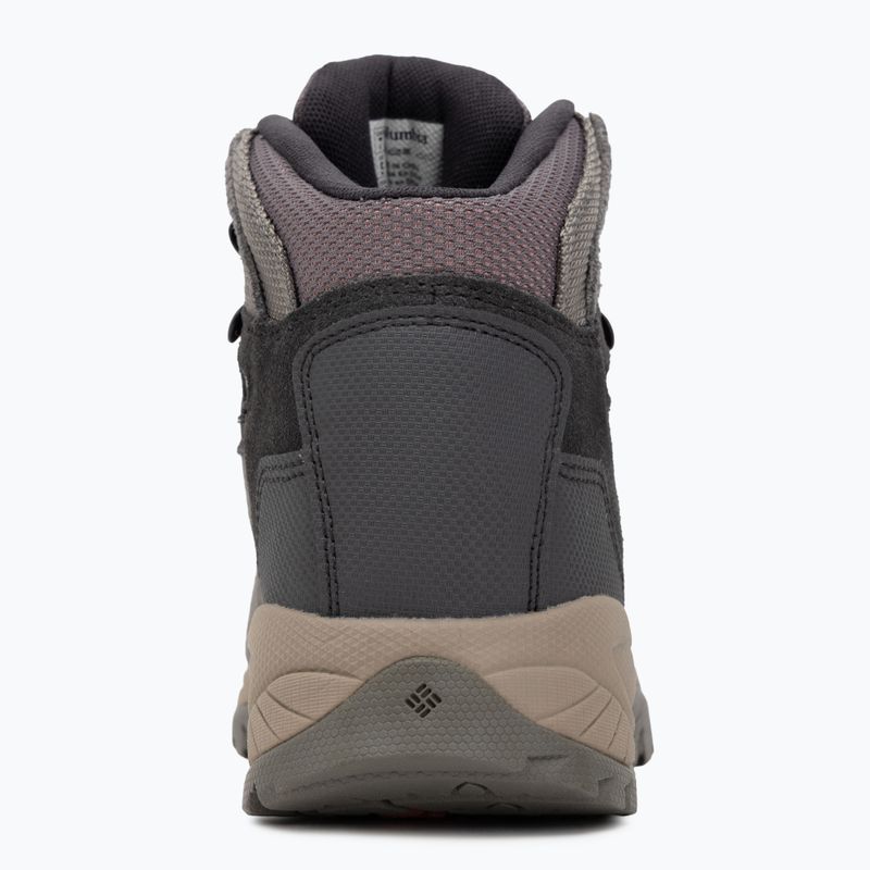 Încălțăminte de trekking pentru femei Columbia Newton Ridge Plus Wp Amped stratus/canyon rose 6