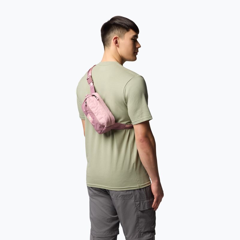Borsetă Columbia Trail Traveler Hip eraser pink/fig/lemon wash 8