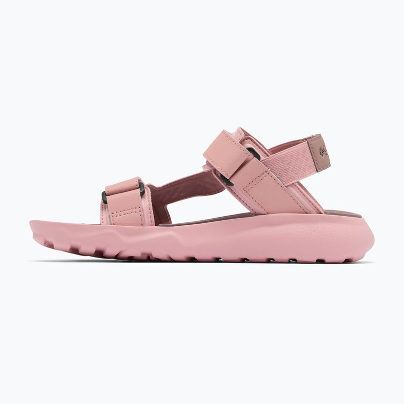 Sandale pentru femei Columbia Peakfreak Roam eraser pink/mocha 9