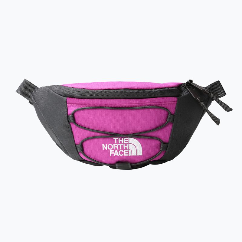 Borsetă The North Face Jester Lumbar mov NF0A52TMYV41 7