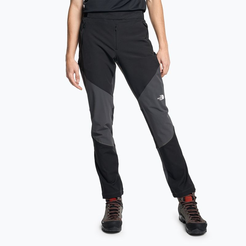 Pantaloni de trekking pentru bărbați The North Face Circadian Alpine negru NF0A5IMOM3U1