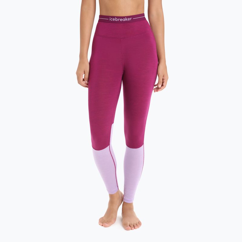 Pantaloni termici pentru femei icebreaker 125 Zoneknit violet IB0A56H68221