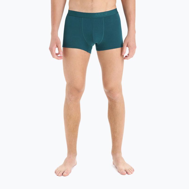 Boxeri termici pentru bărbați Anatomica Cool-Lite verde 105223 4