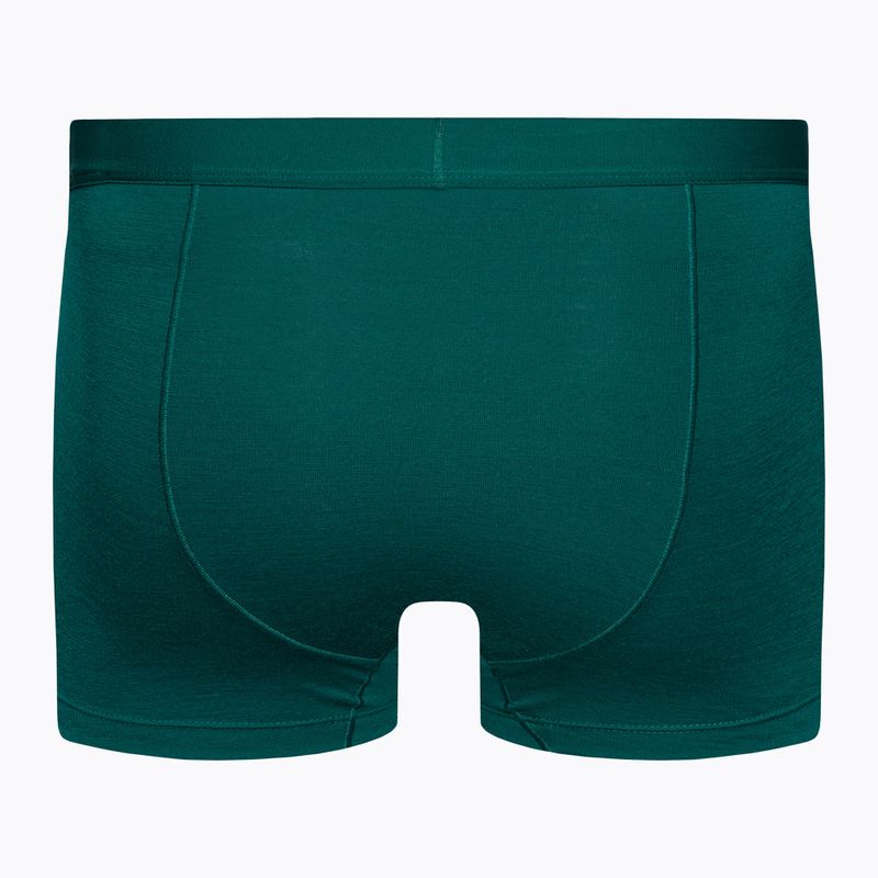 Boxeri termici pentru bărbați Anatomica Cool-Lite verde 105223 2