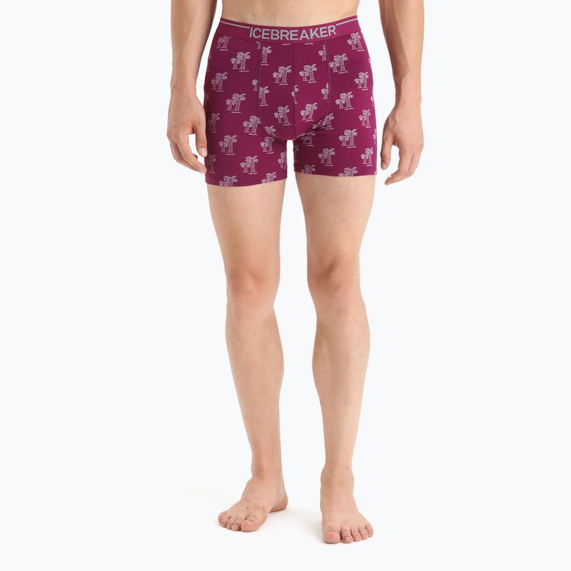 Boxeri termici pentru bărbați Anatomica Go Berry 103029
