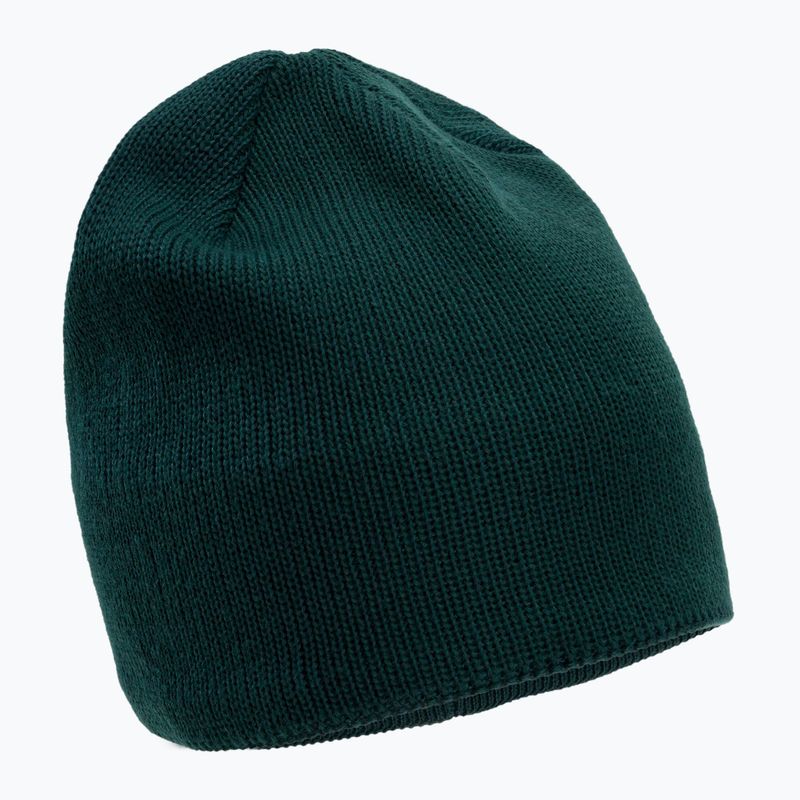 The North Face Bones Recycled verde de iarnă NF0A3FNSD7V1