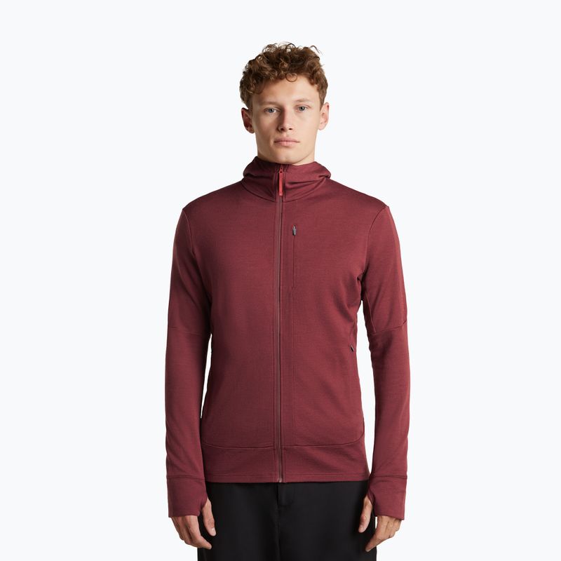 Bluză pentru bărbați Icebreaker Merino 260 Quantum IV LS Zip Hoodie port/agate