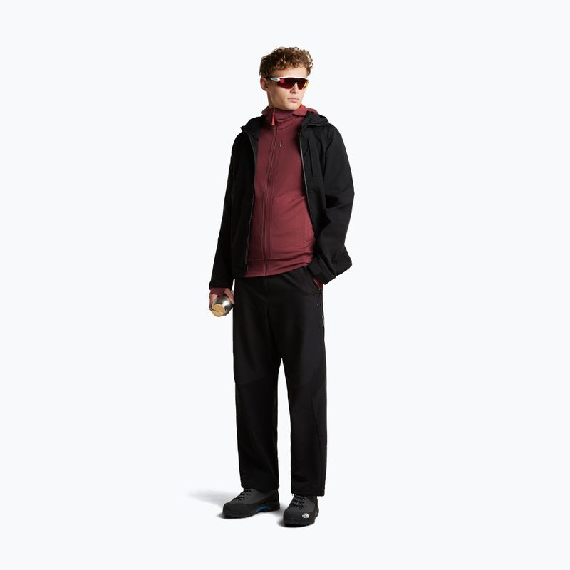 Bluză pentru bărbați Icebreaker Merino 260 Quantum IV LS Zip Hoodie port/agate 2