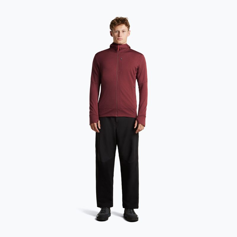 Bluză pentru bărbați Icebreaker Merino 260 Quantum IV LS Zip Hoodie port/agate 4