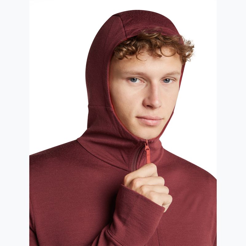 Bluză pentru bărbați Icebreaker Merino 260 Quantum IV LS Zip Hoodie port/agate 6