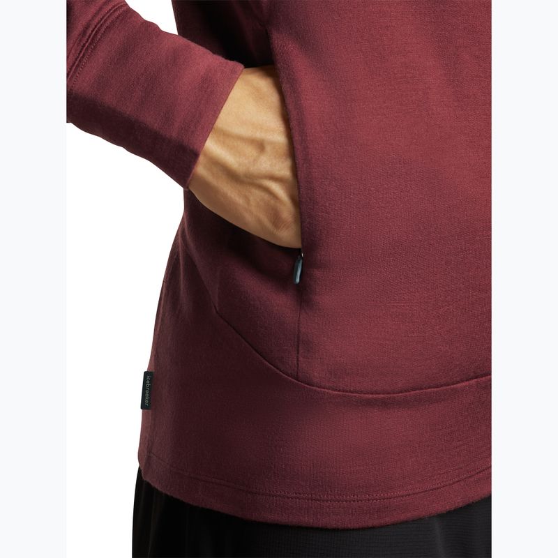 Bluză pentru bărbați Icebreaker Merino 260 Quantum IV LS Zip Hoodie port/agate 9