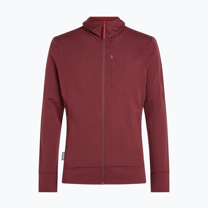 Bluză pentru bărbați Icebreaker Merino 260 Quantum IV LS Zip Hoodie port/agate 10