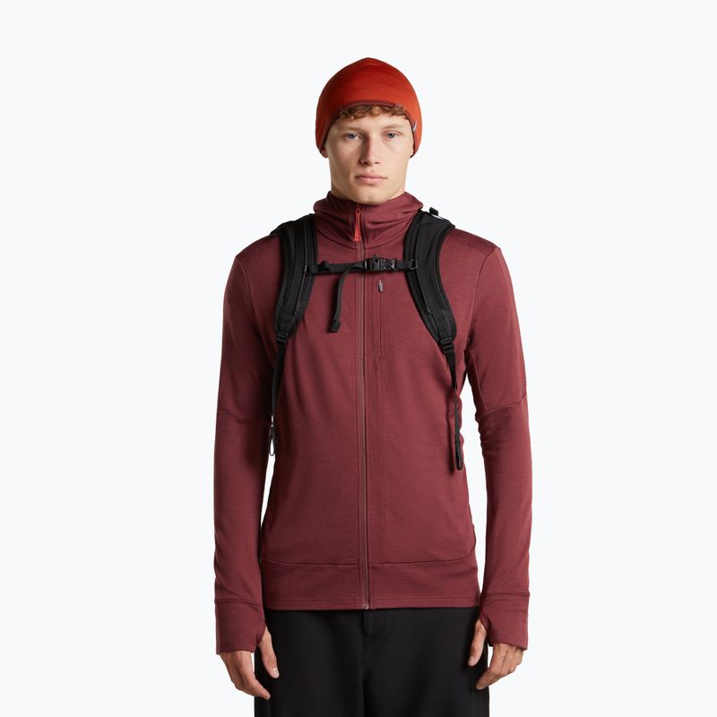 Căciulă icebreaker Merino 200 Oasis Reversible Beanie agate/port 6