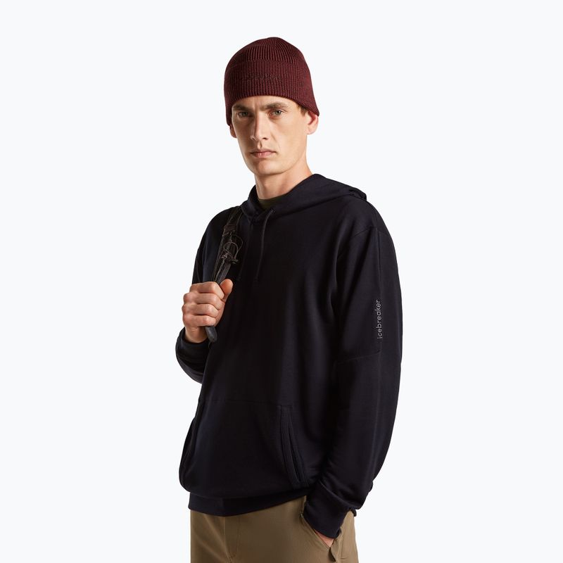 Căciulă de iarnă icebreaker Merino All Day Toque Beanie port/bittersweet 2
