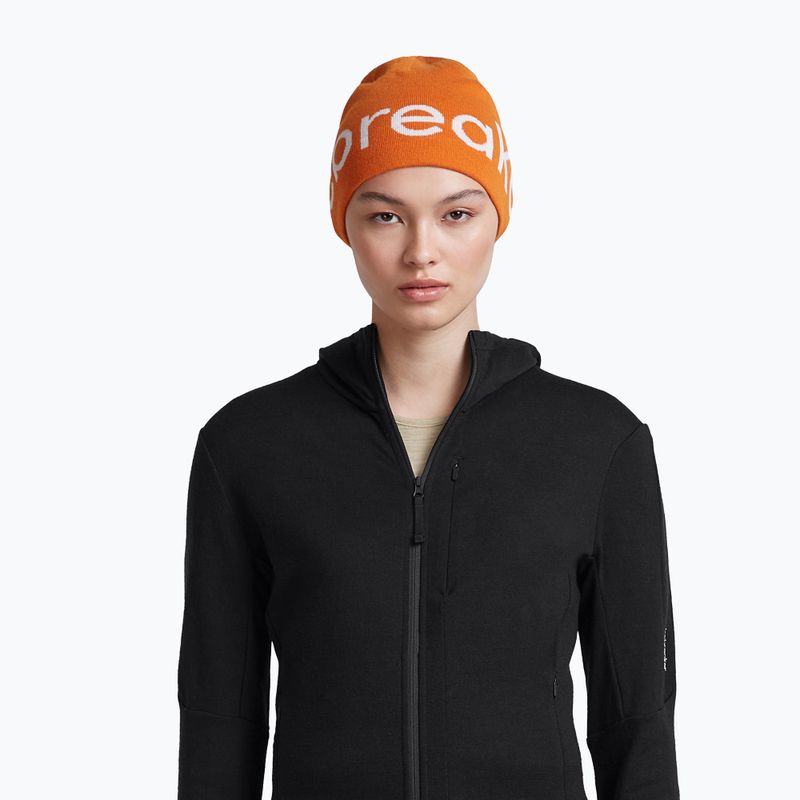 Căciulă de iarnă icebreaker Merino Icebreaker Beanie spice/ecru heather 6