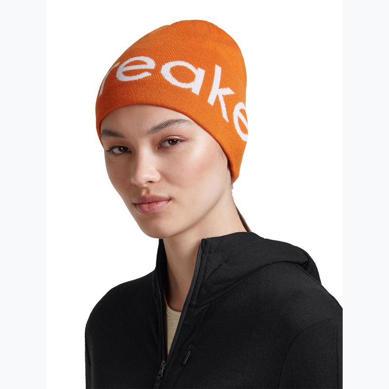 Căciulă de iarnă icebreaker Merino Icebreaker Beanie spice/ecru heather 7