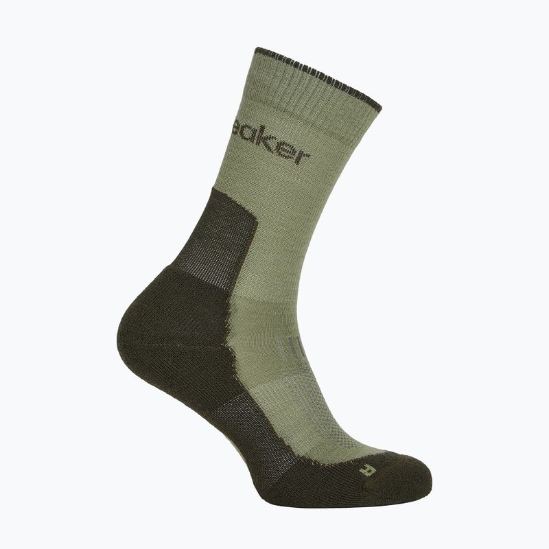 Șosete pentru femei Icebreaker Merino Hike+ Light Crew lichen/dark loden 2