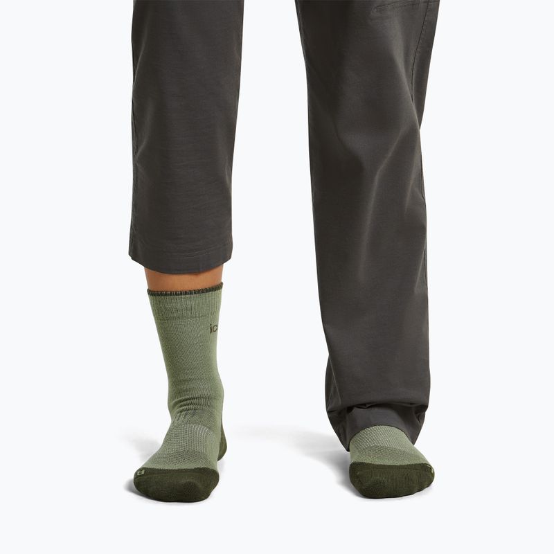 Șosete pentru femei Icebreaker Merino Hike+ Light Crew lichen/dark loden 3
