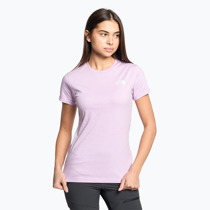 Tricou de trekking pentru femei The North Face Outdoor Graphic SS mov NF0A827M