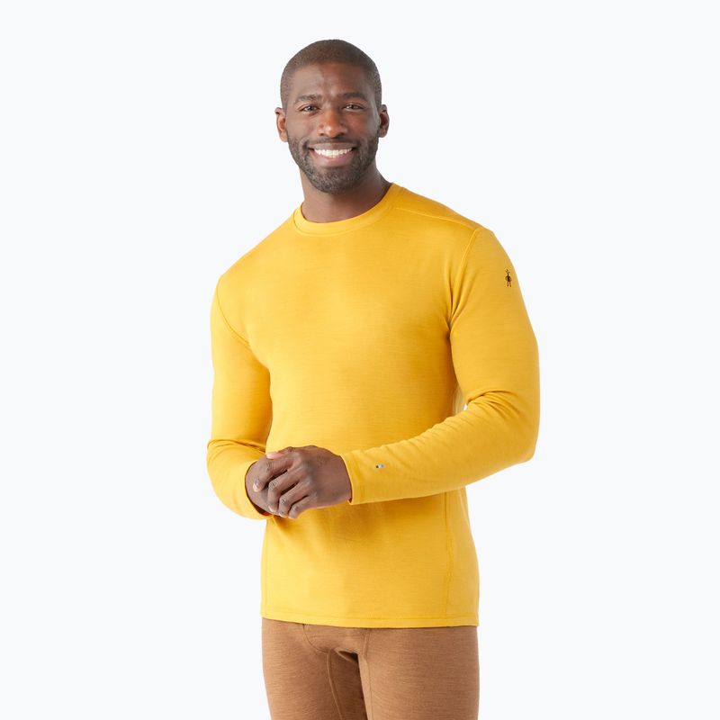 Bărbați Smartwool Merino 250 Merino 250 Baselayer Crew Boxed tricou termic de miere de aur