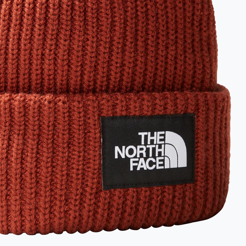 The North Face Capacul maro de brandy sărat 7