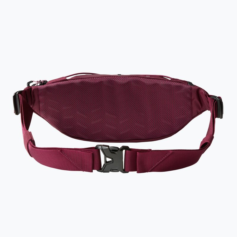 The North Face Lumbnical 4 l Boysenberry rinichi pliculeț de rinichi 2