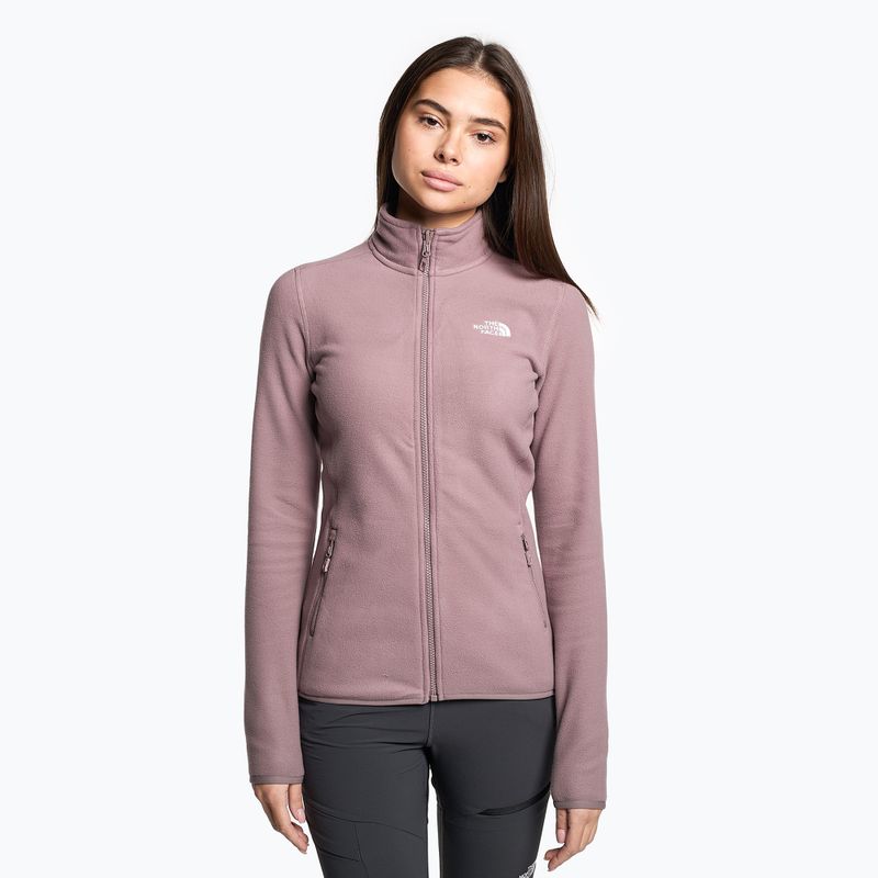 Pulover fleece pentru femei The North Face 100 Glacier Fz fawn grey