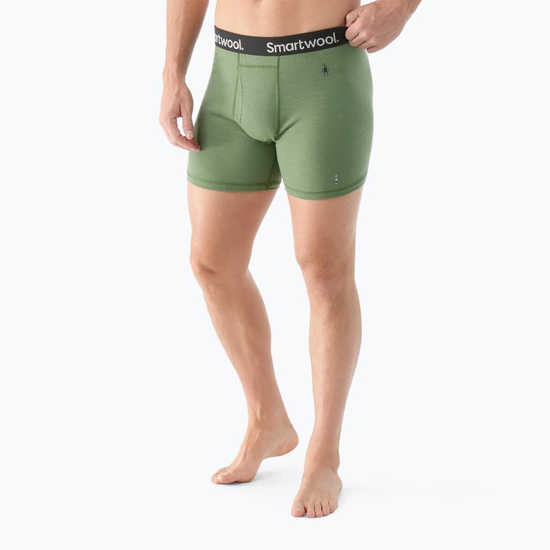 Bărbați Smartwool Merino Boxer Thermal Boxer Brief Boxed verde ferigă 2
