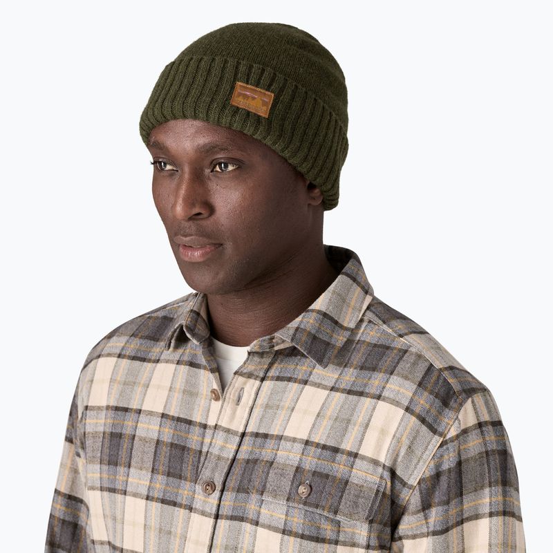 Patagonia căciulă de iarnă Brodeo Beanie 73 skyline/verde ac de pin 2