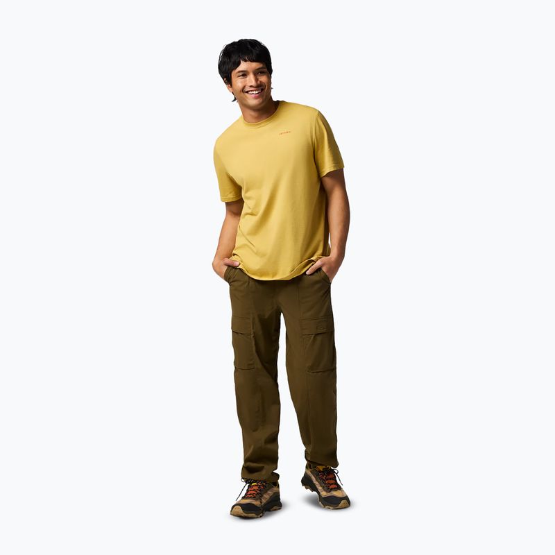 Tricou pentru bărbați Cotopaxi Mountain Magic husk 2