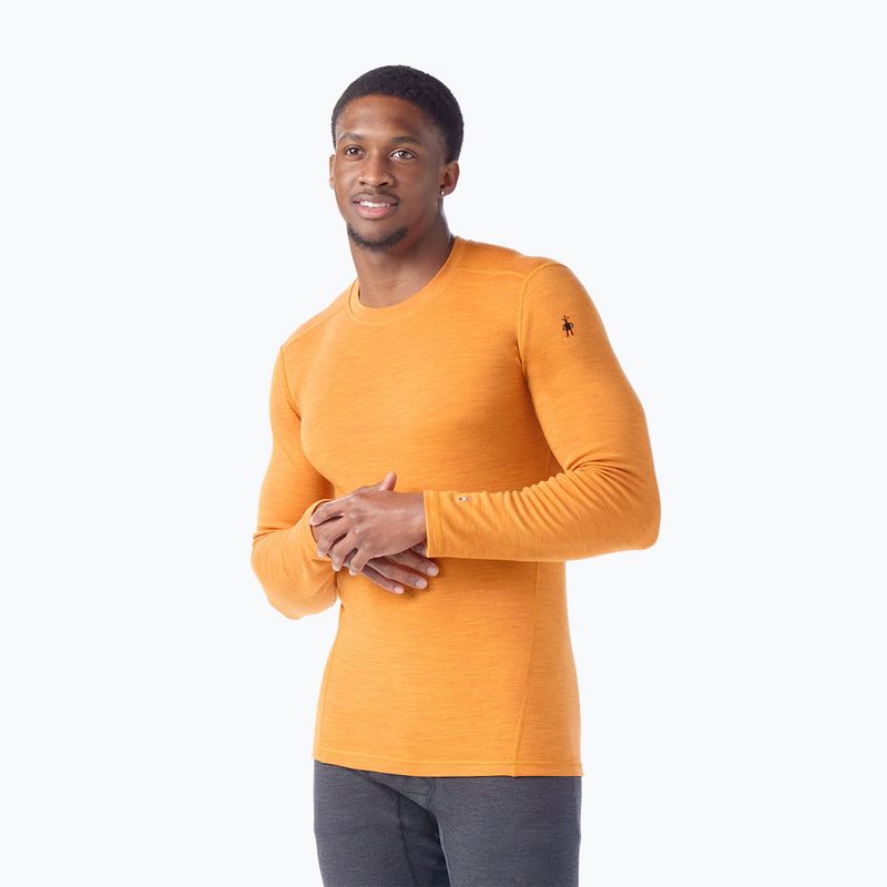 Longsleeve termoactiv pentru bărbați  Smartwool Merino 250 Baselayer Crew Boxed marmalade heather