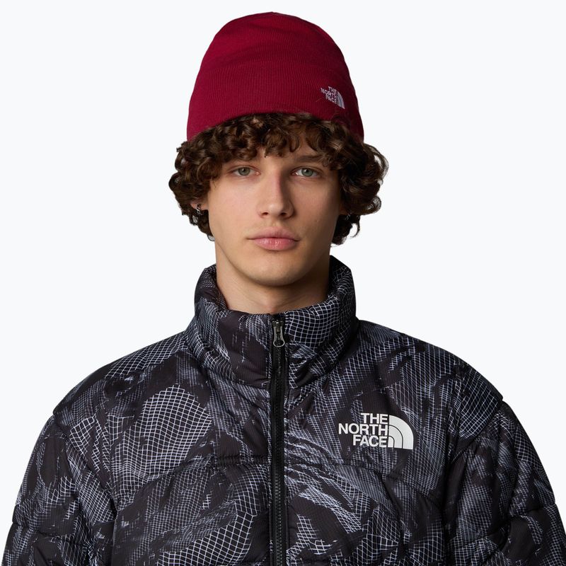 Căciulă de trekking pentru bărbați The North Face Norm Beanie beetroot 3